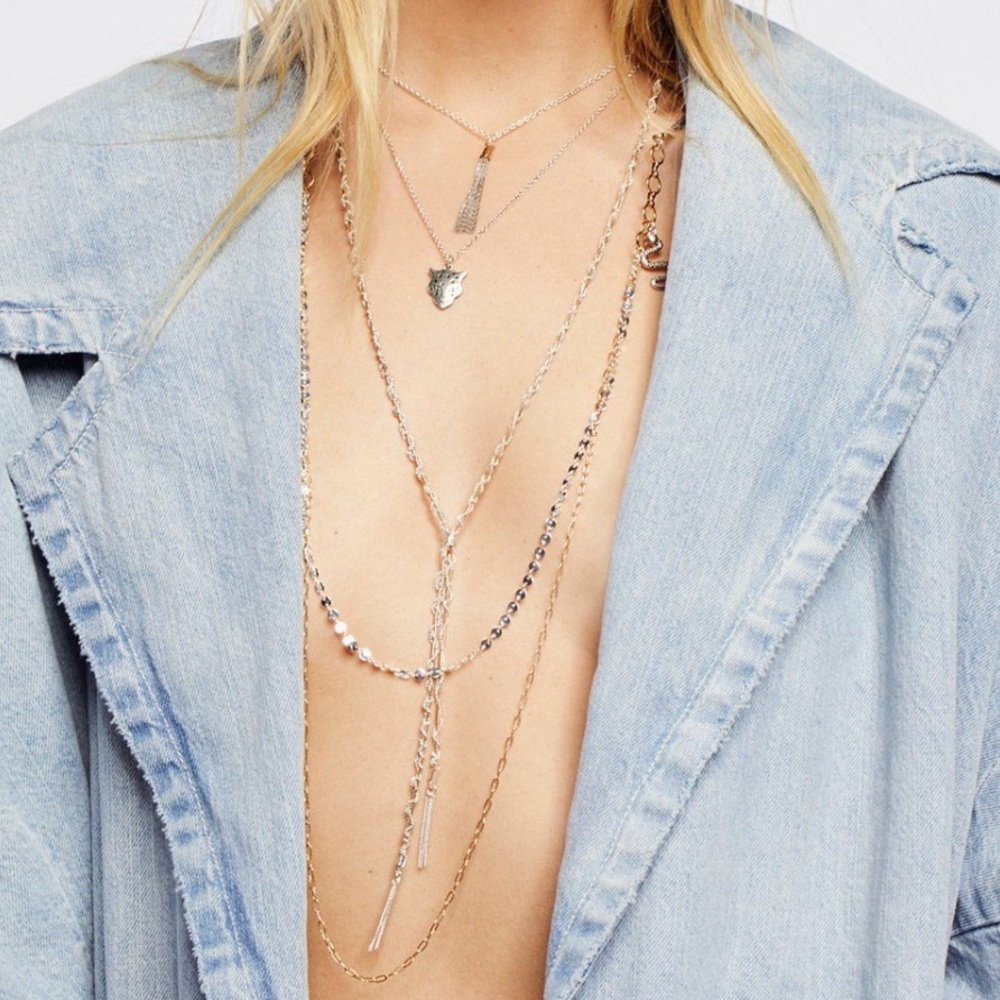Free People Silver/Gold Tasseled Layered Necklace - Picture 2 of 8